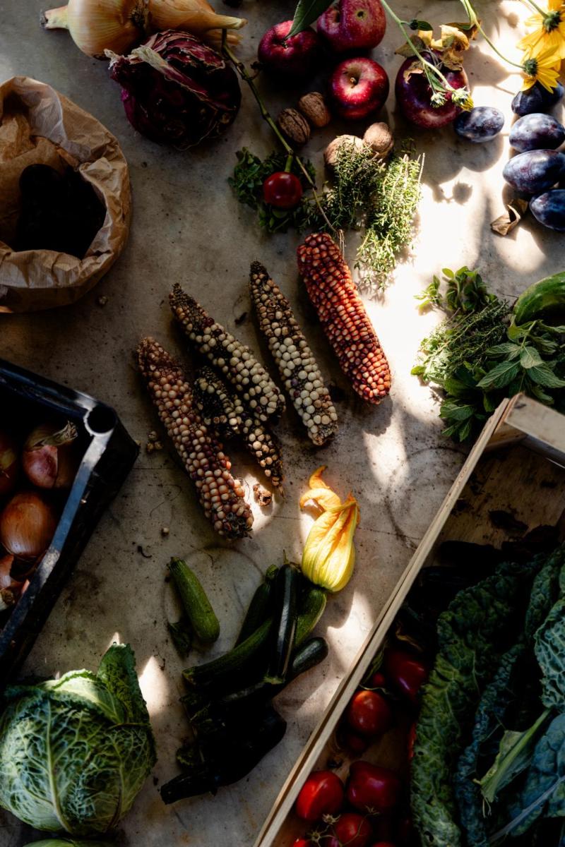 Agriturismo San Martino