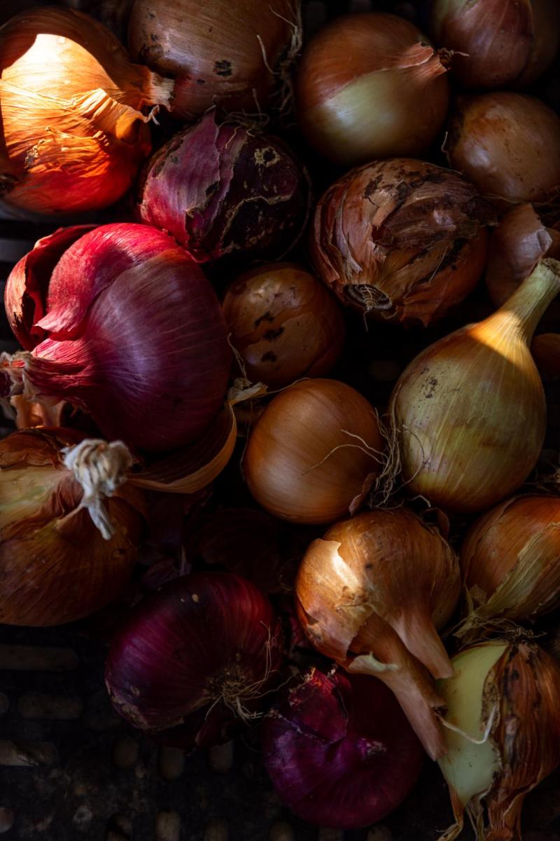 Agriturismo San Martino