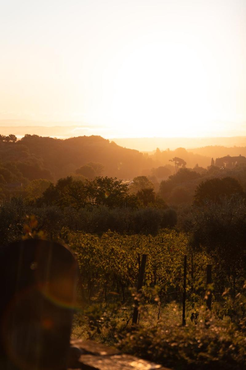 Agriturismo San Martino