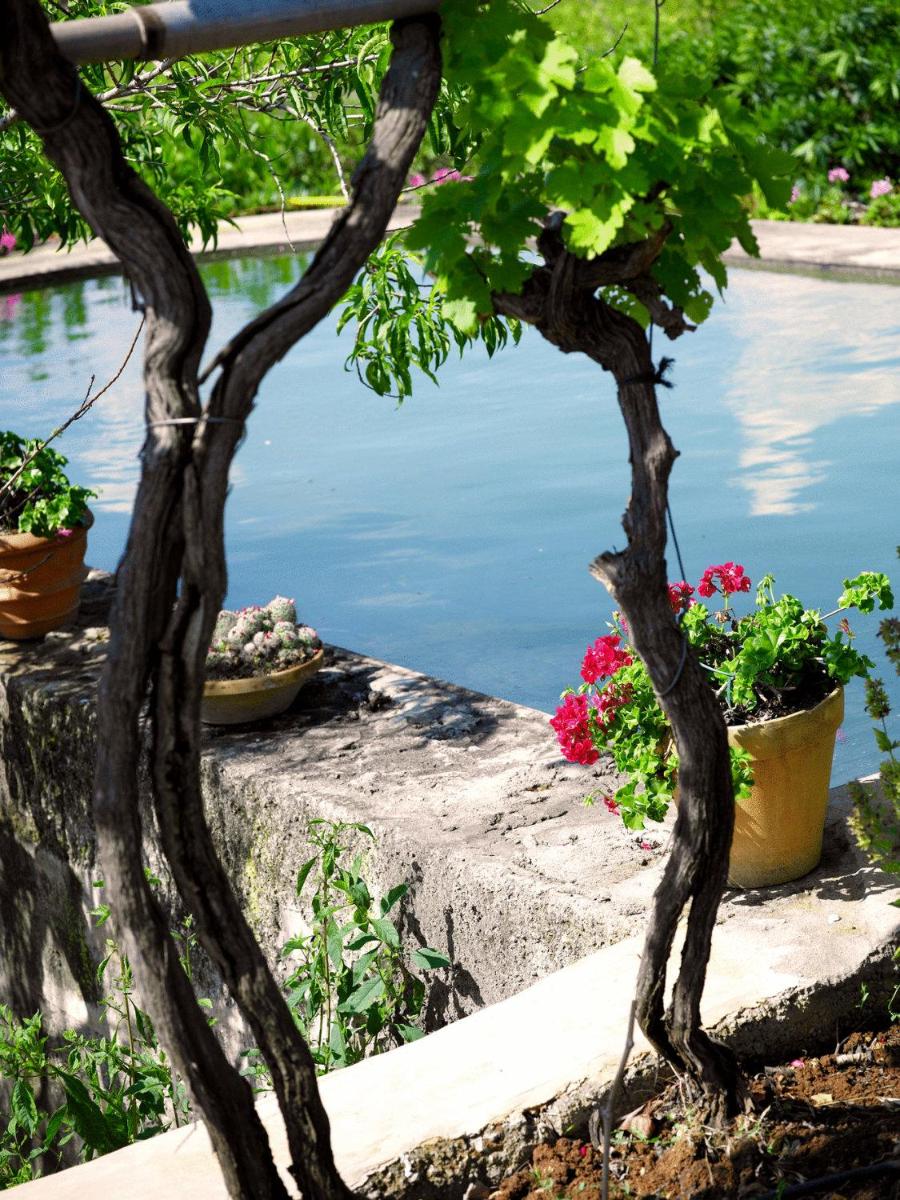 Agroturisme Can Planells