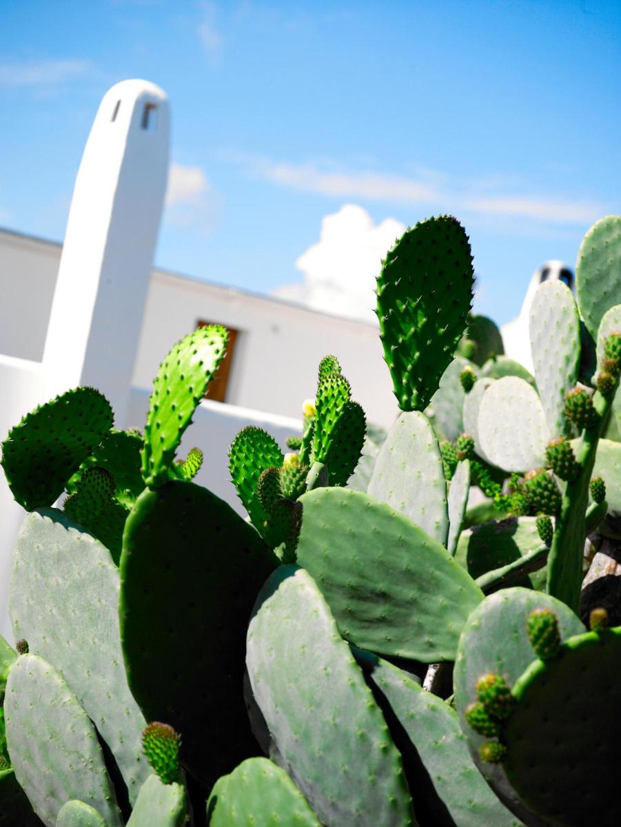 Agroturisme Can Planells