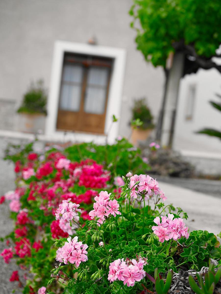 Agroturisme Can Planells