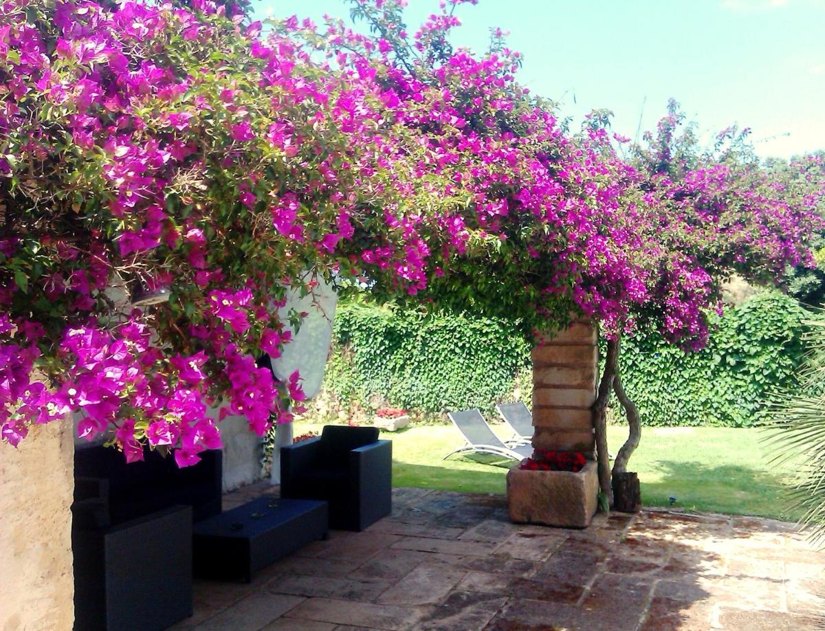 Agroturisme Son Pons