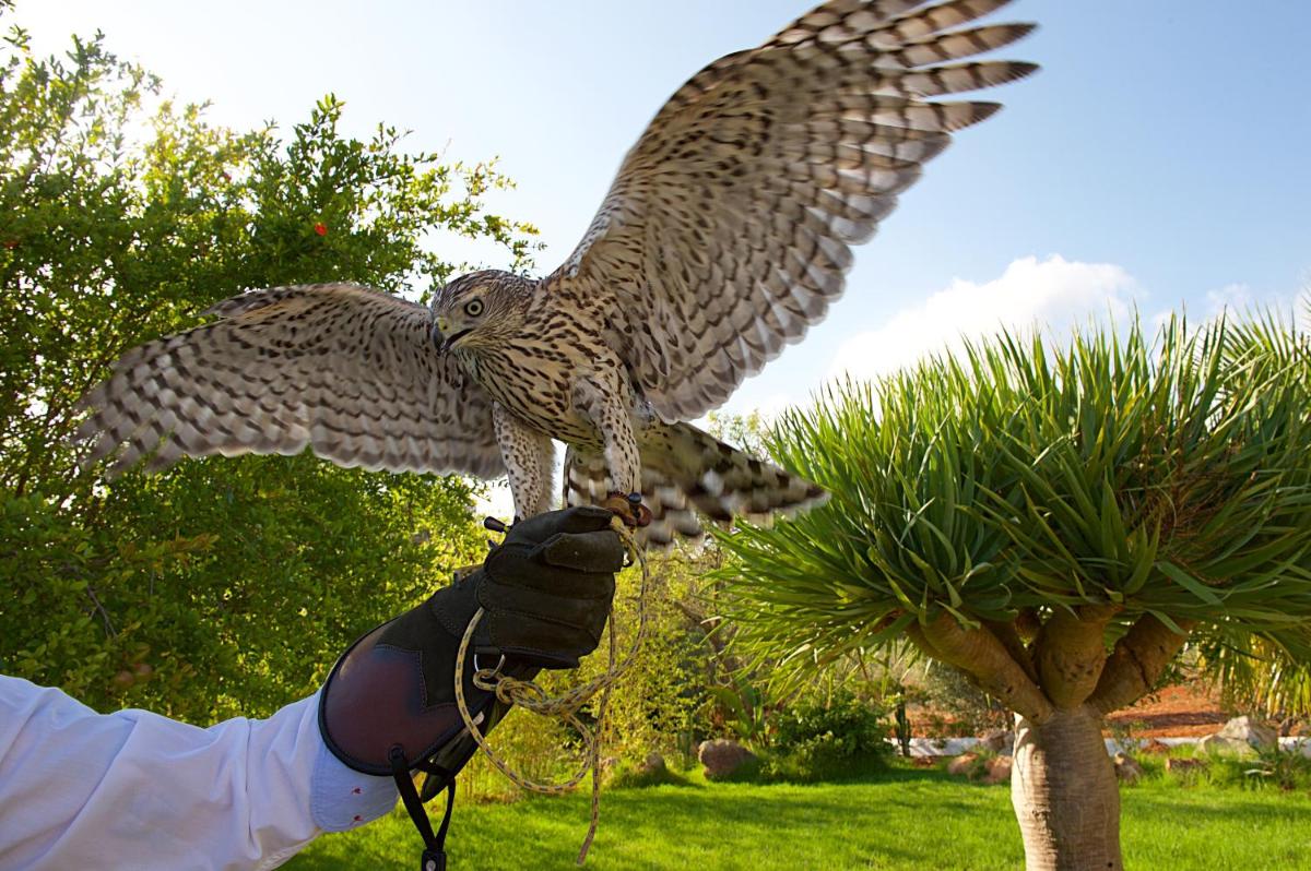Agroturismo Can Parramatta