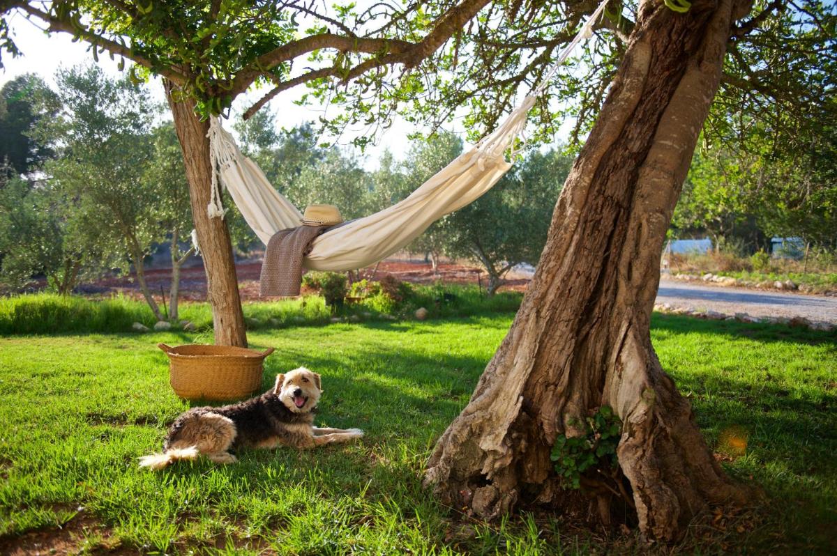 Agroturismo Can Parramatta