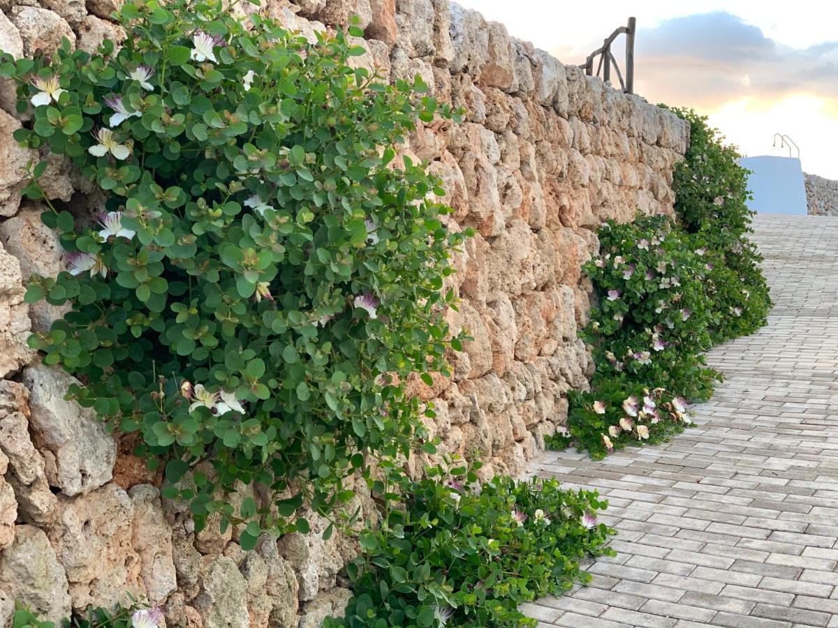 Agroturismo Llucasaldent Gran Menorca - Adults Only