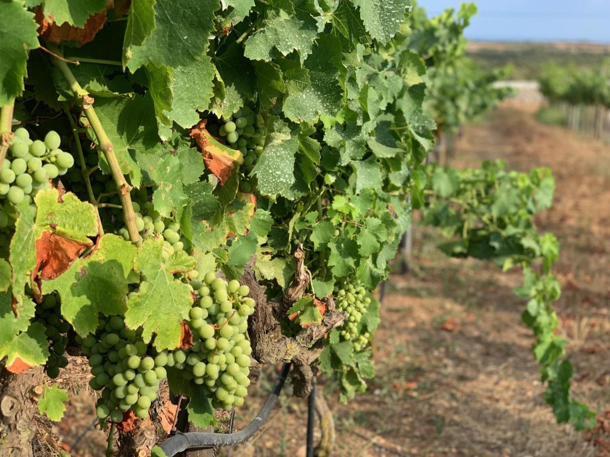 Agroturismo Llucasaldent Gran Menorca - Adults Only