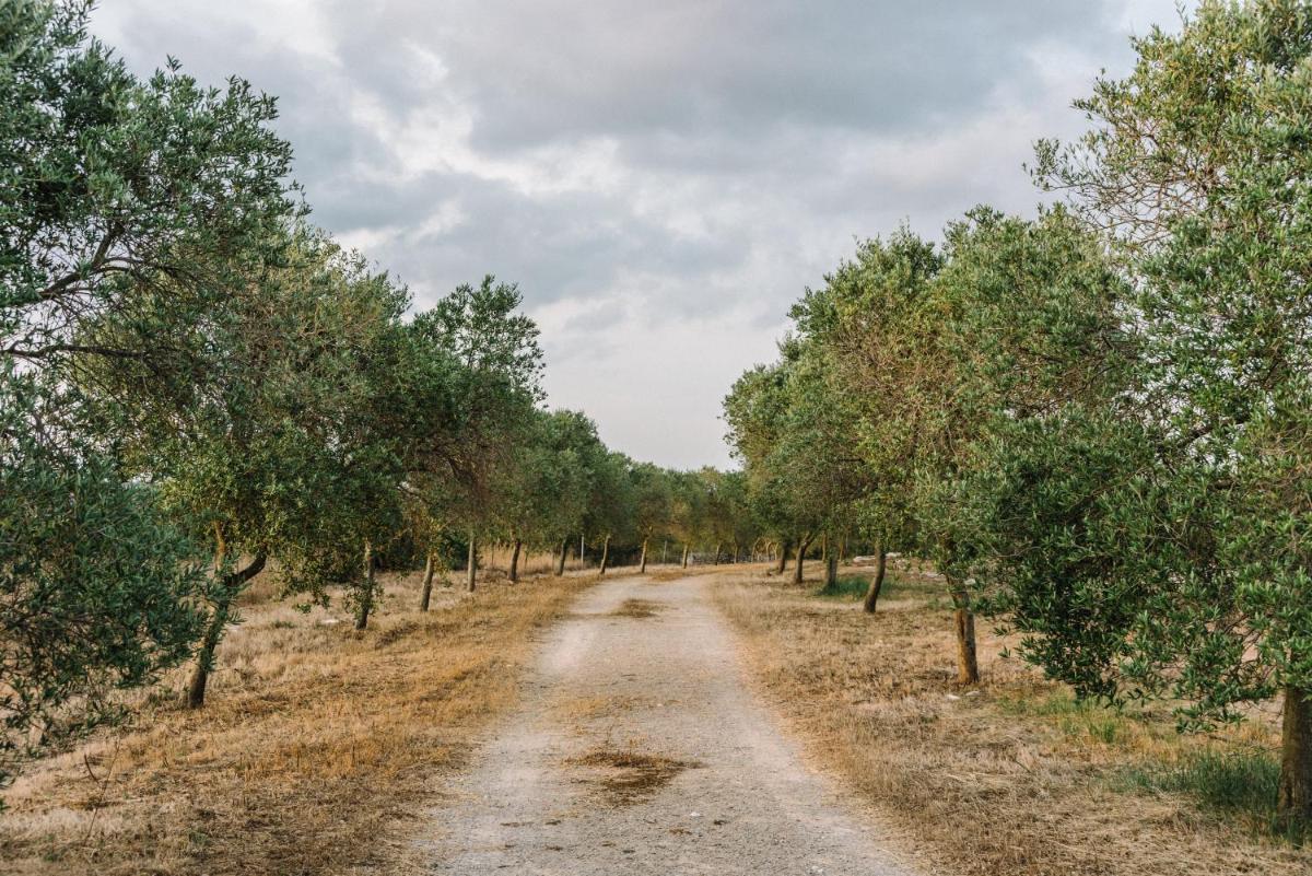 Agroturismo Llucasaldent Gran Menorca - Adults Only