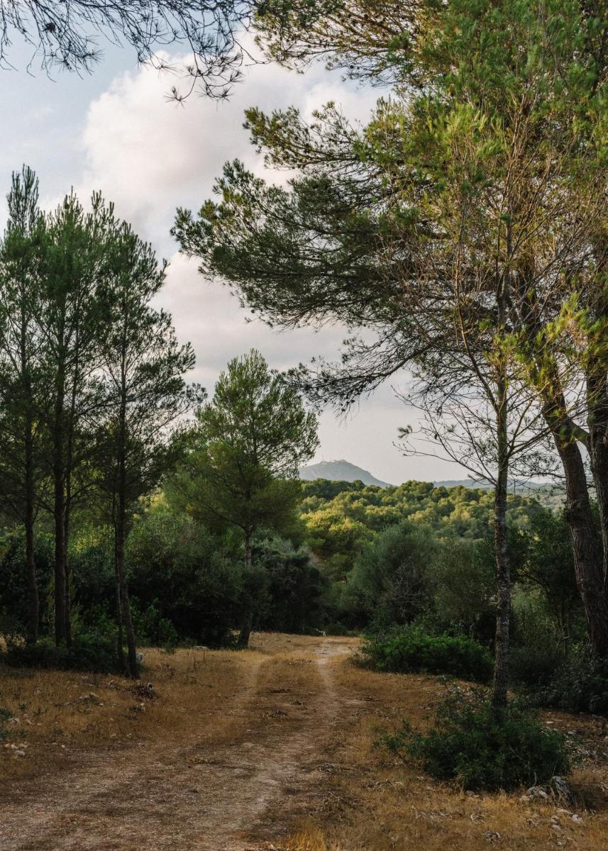 Agroturismo Llucasaldent Gran Menorca - Adults Only