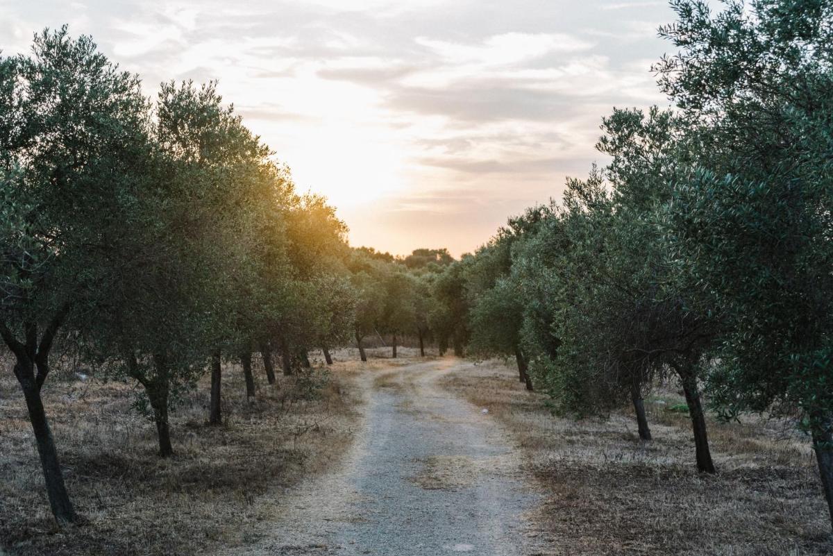 Agroturismo Llucasaldent Gran Menorca - Adults Only