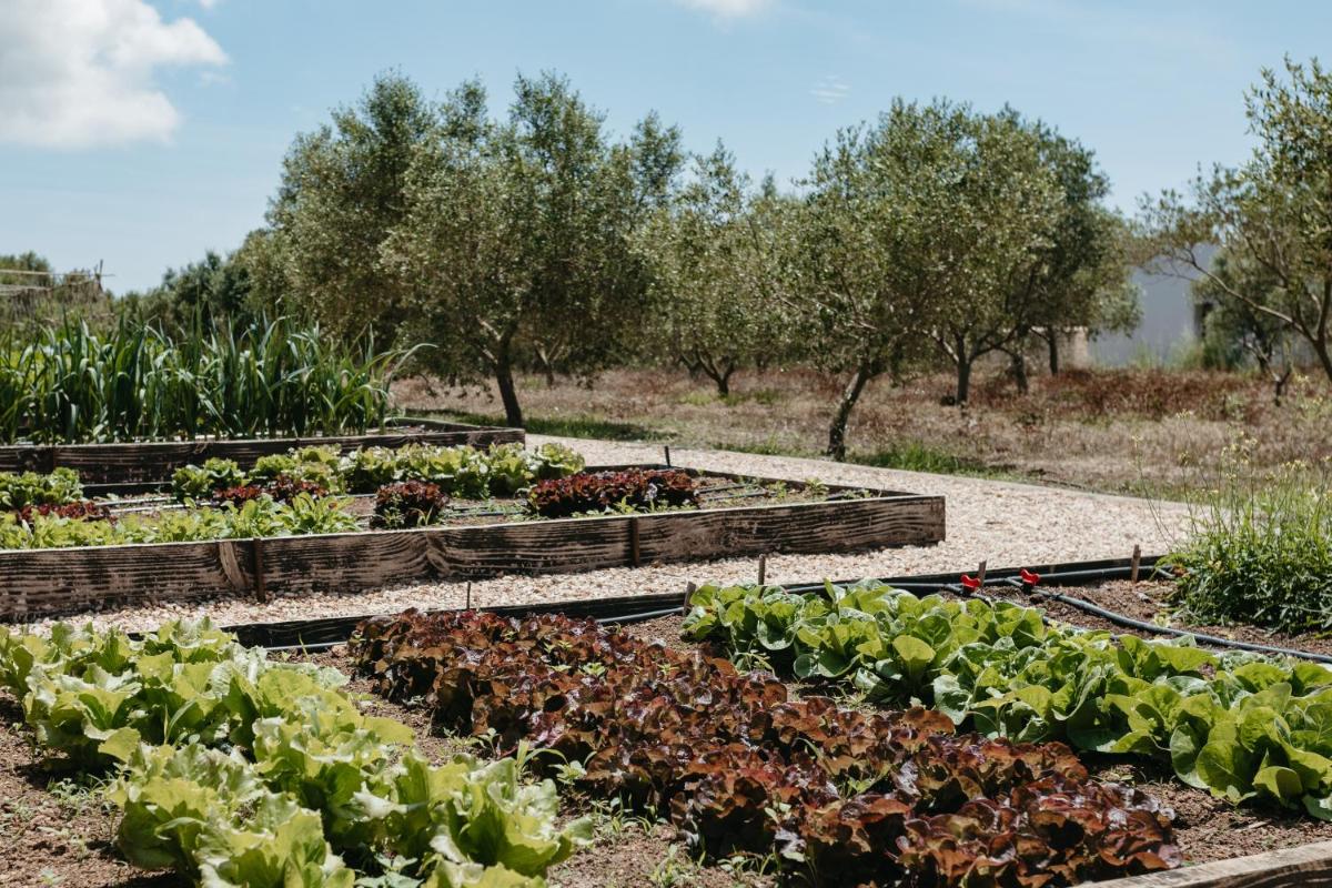 Agroturismo Malbuger Nou Menorca -Adults only-