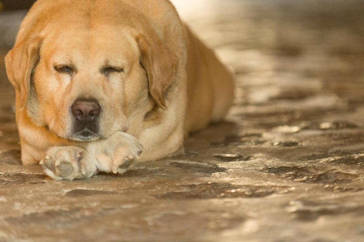 Agroturismo Muleta de Ca S'hereu
