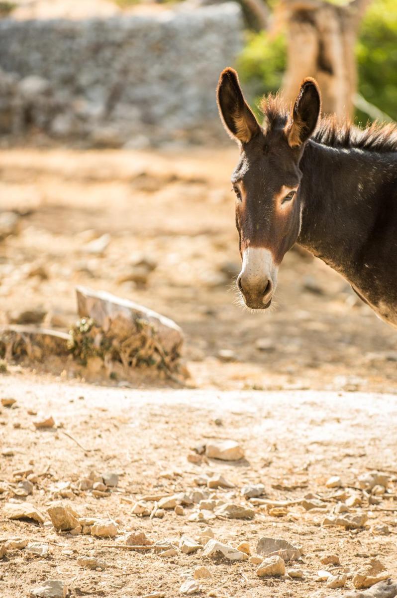 Agroturismo Muleta de Ca S'hereu