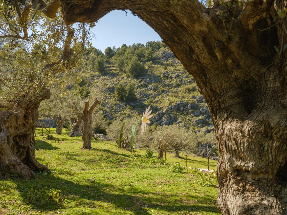Agroturismo Muleta de Ca S'hereu