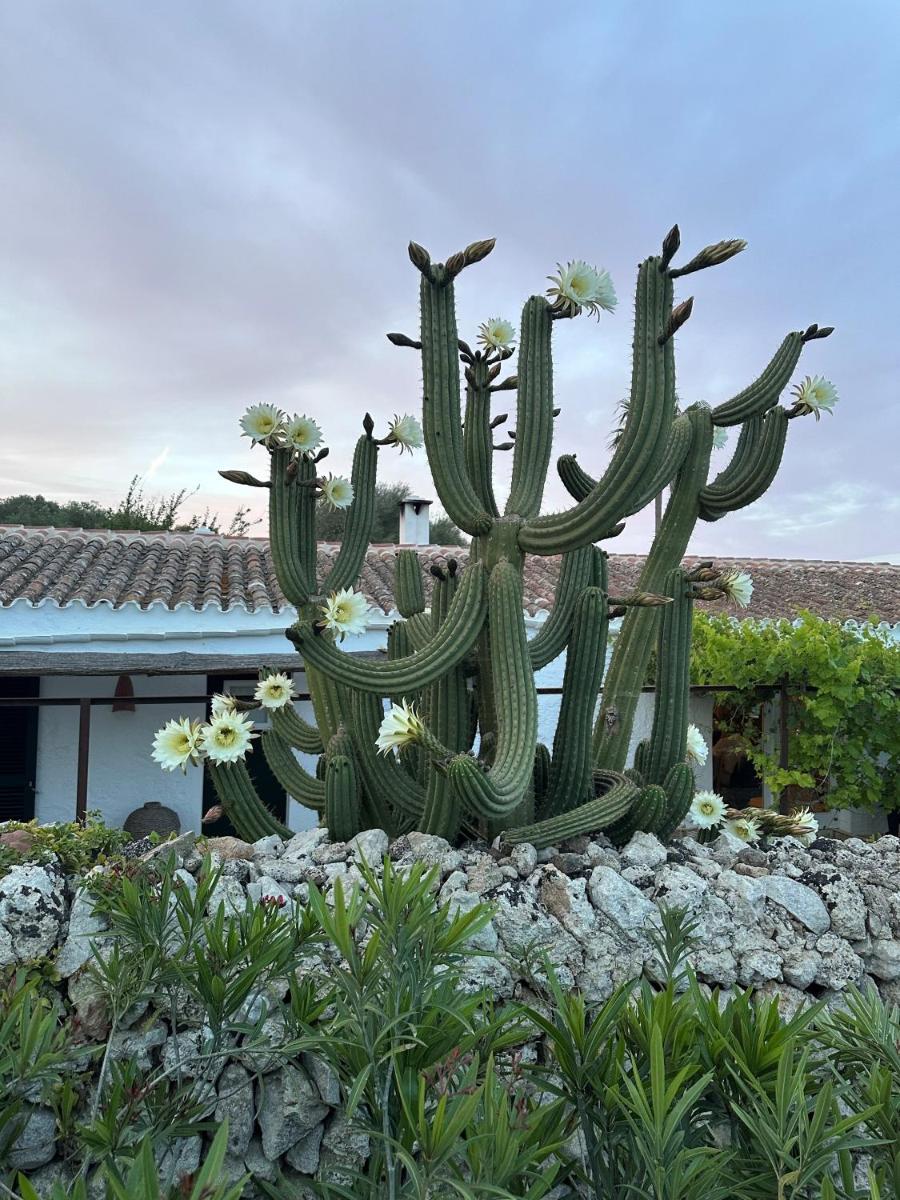 Agroturismo Rafal Rubí