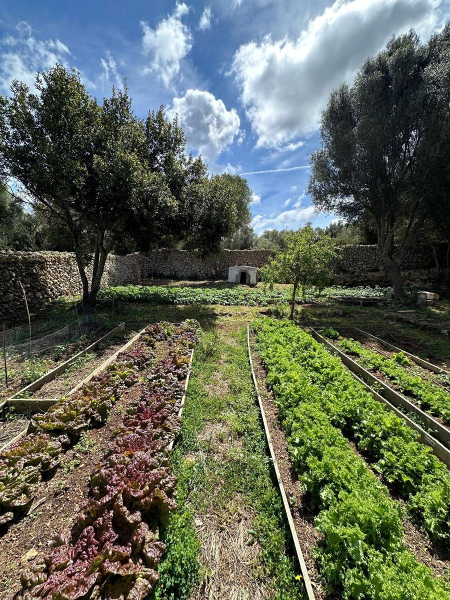 Agroturismo Rafal Rubí