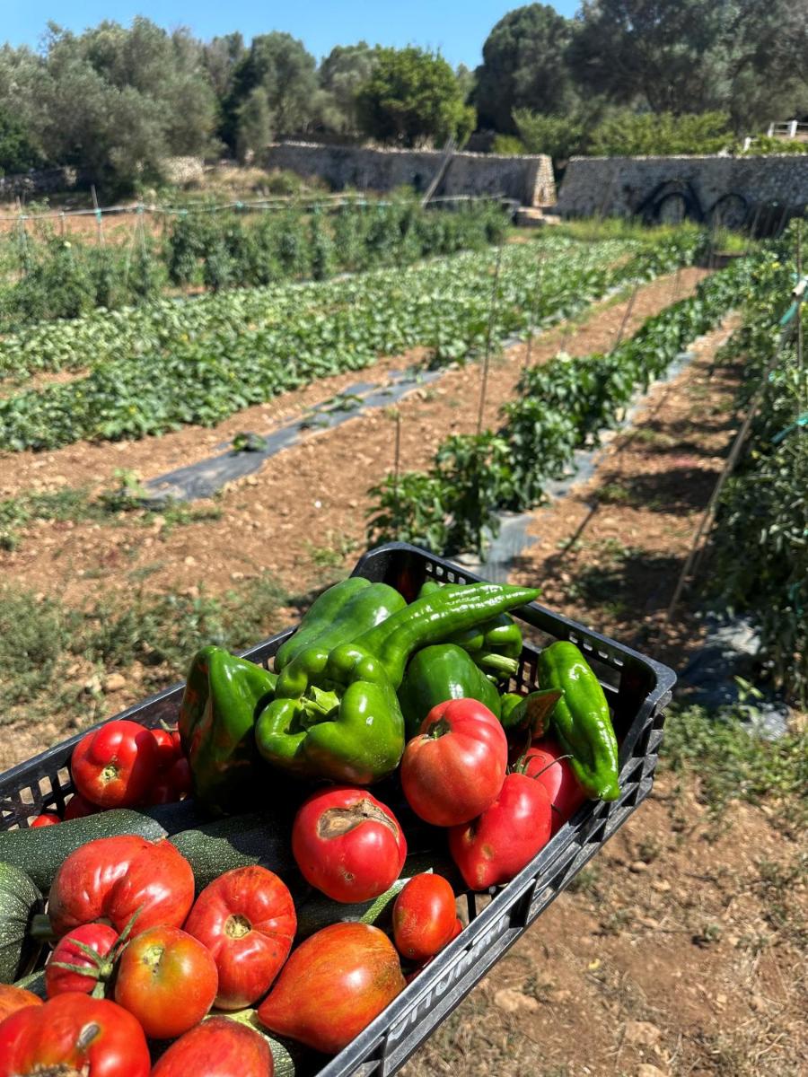 Agroturismo Rafal Rubí