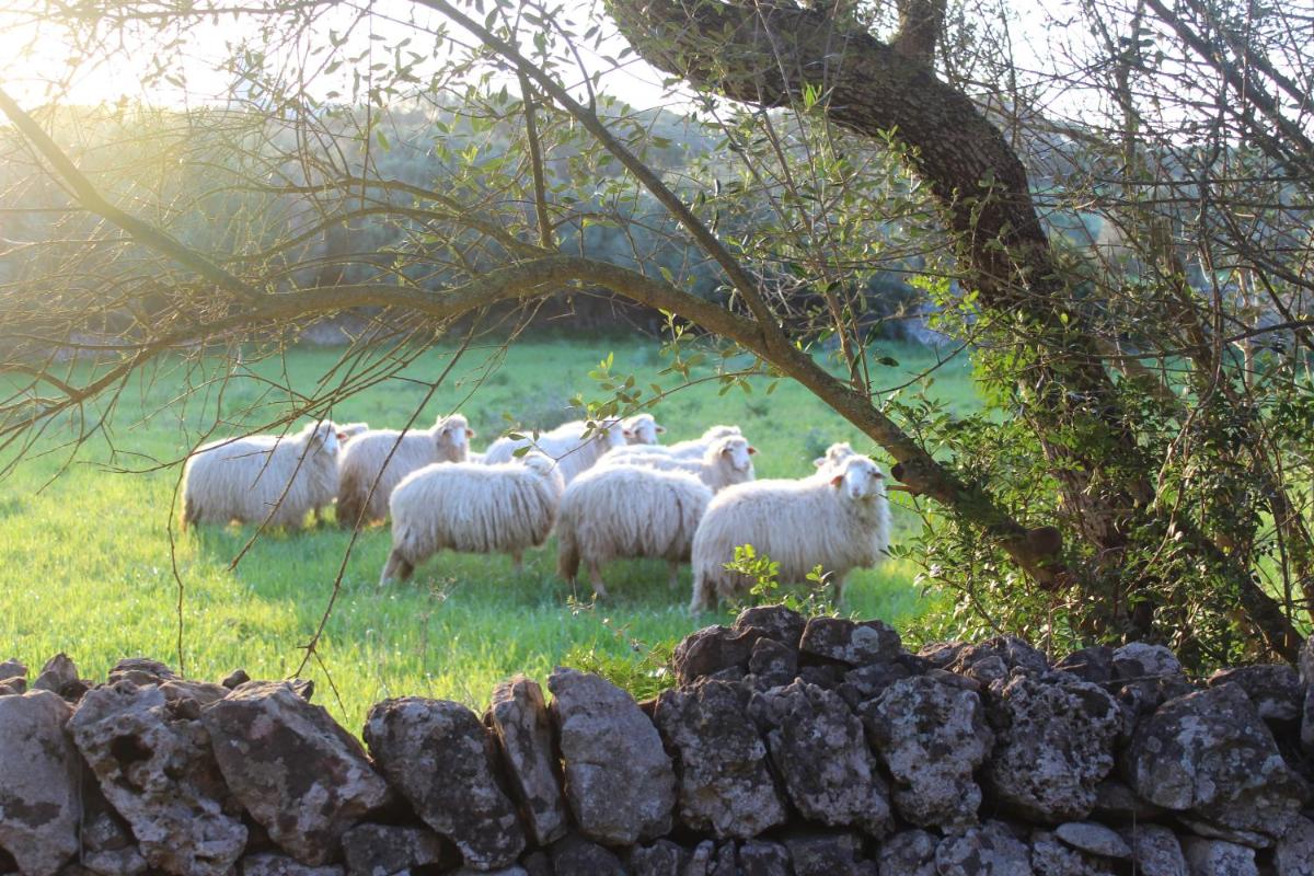 Agroturismo Santa Mariana