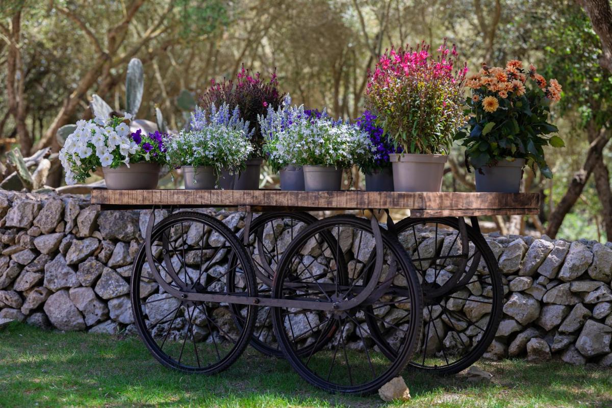 Agroturismo Santa Mariana