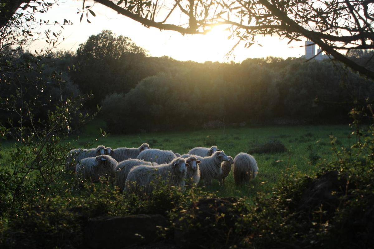 Agroturismo Santa Mariana