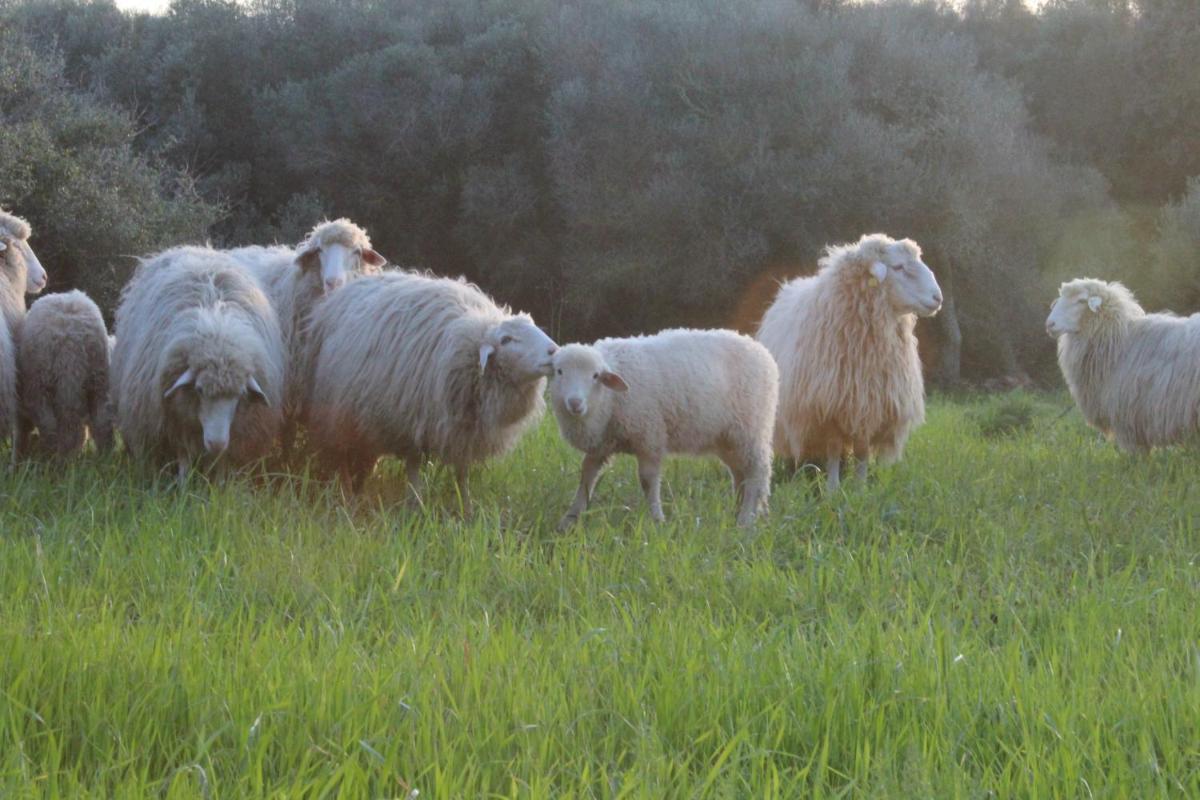 Agroturismo Santa Mariana