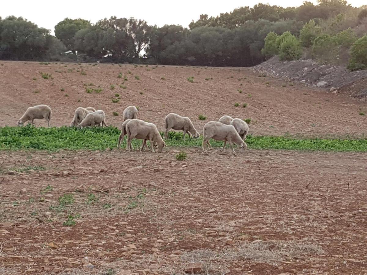 Agroturismo Santa Mariana