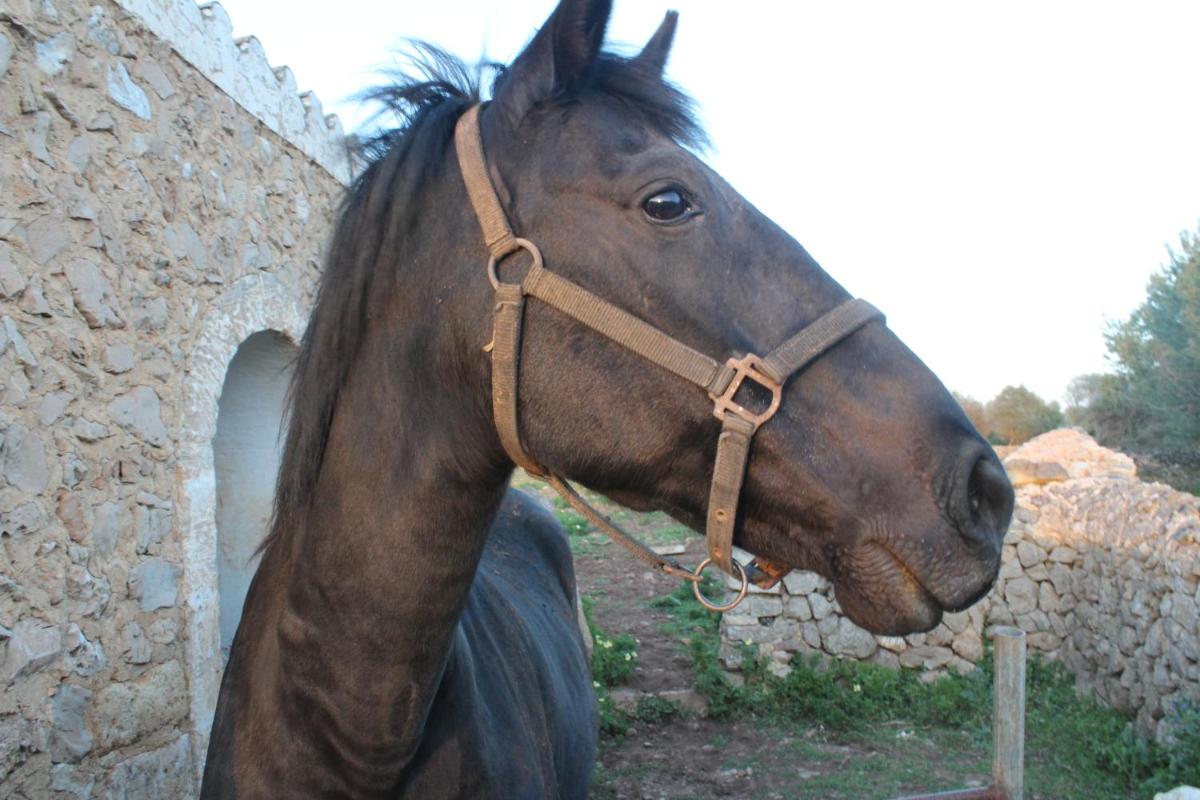 Agroturismo Santa Mariana