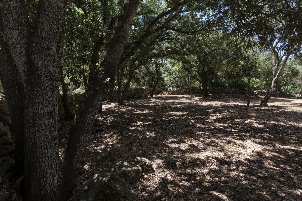 Agroturismo Santa Mariana