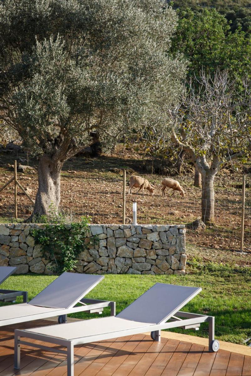 Agroturismo S'Arboçar