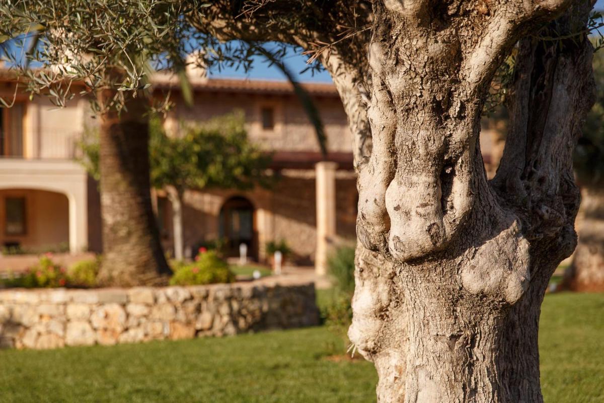 Agroturismo S'Arboçar