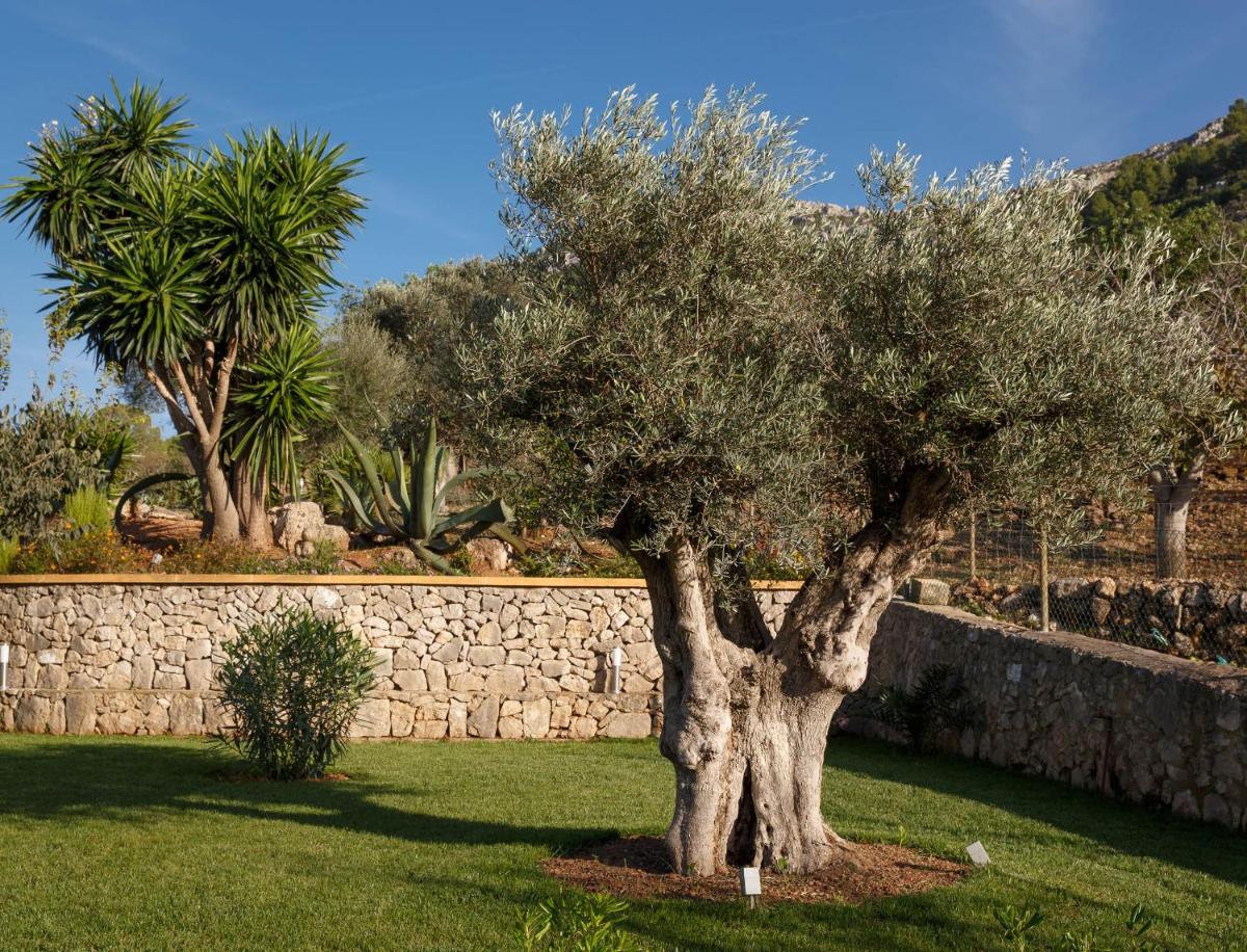 Agroturismo S'Arboçar