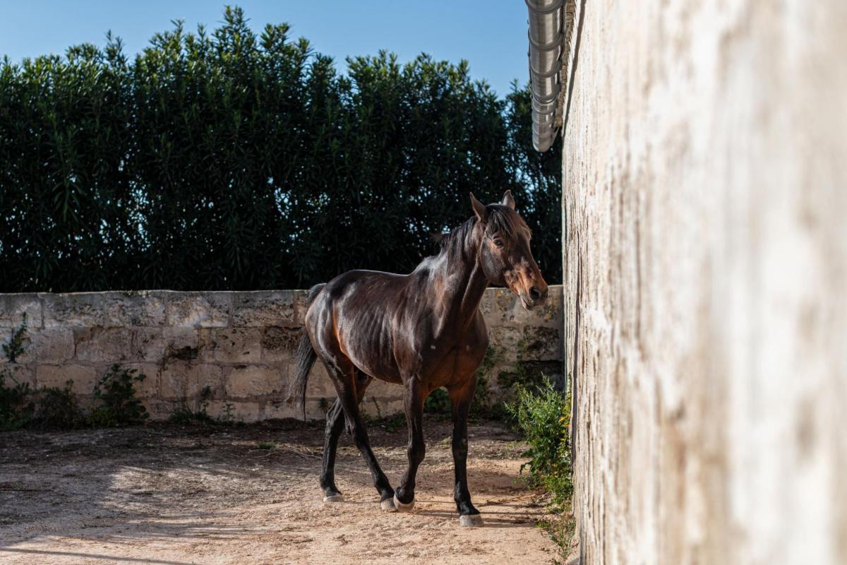 Agroturismo Son Juaneda