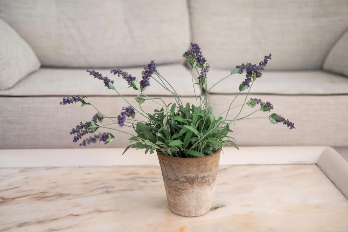 Agroturismo Son Juaneda