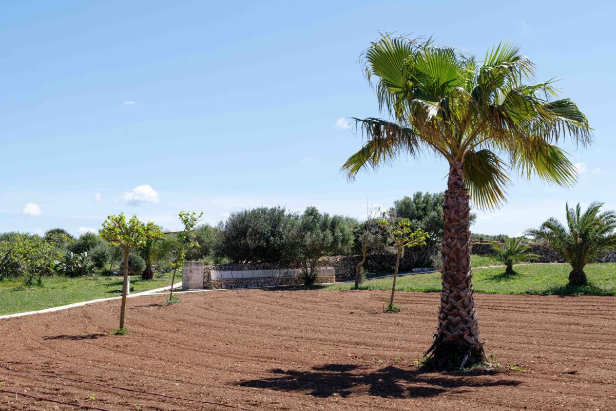 Agroturismo Son Juaneda