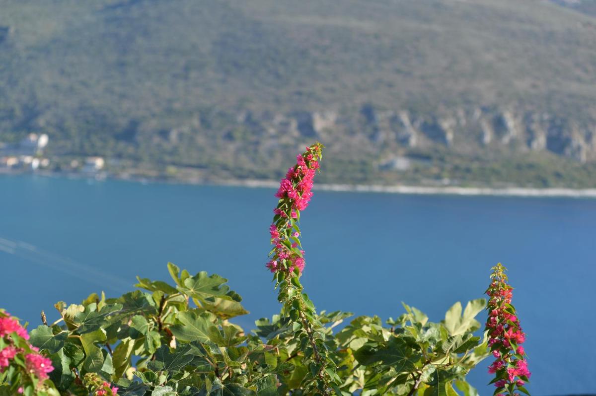 Akrolithi Boutique Hotel & Suites