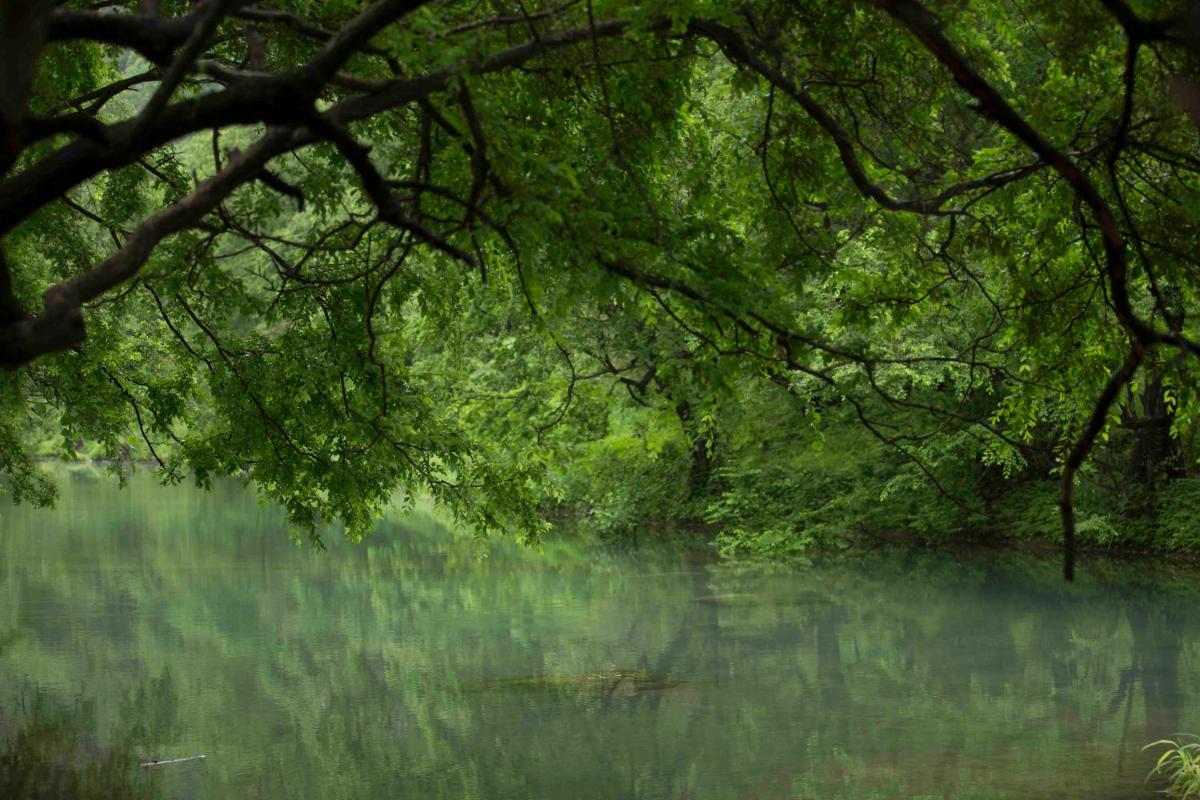 Al Baleed Resort Salalah by Anantara