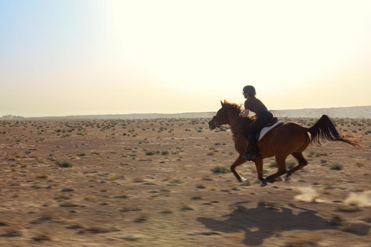 Al Maha, a Luxury Collection Desert Resort & Spa, Dubai