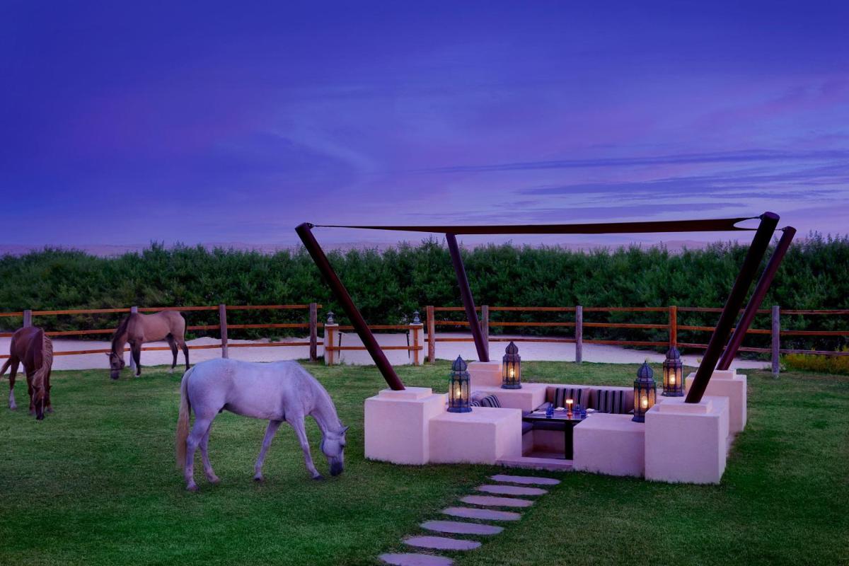 Al Wathba, a Luxury Collection Desert Resort & Spa, Abu Dhabi