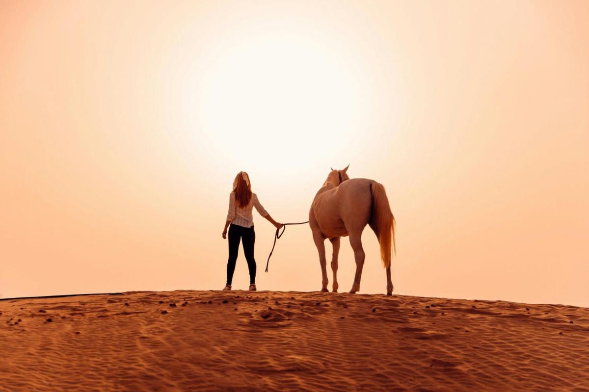 Al Wathba, a Luxury Collection Desert Resort & Spa, Abu Dhabi