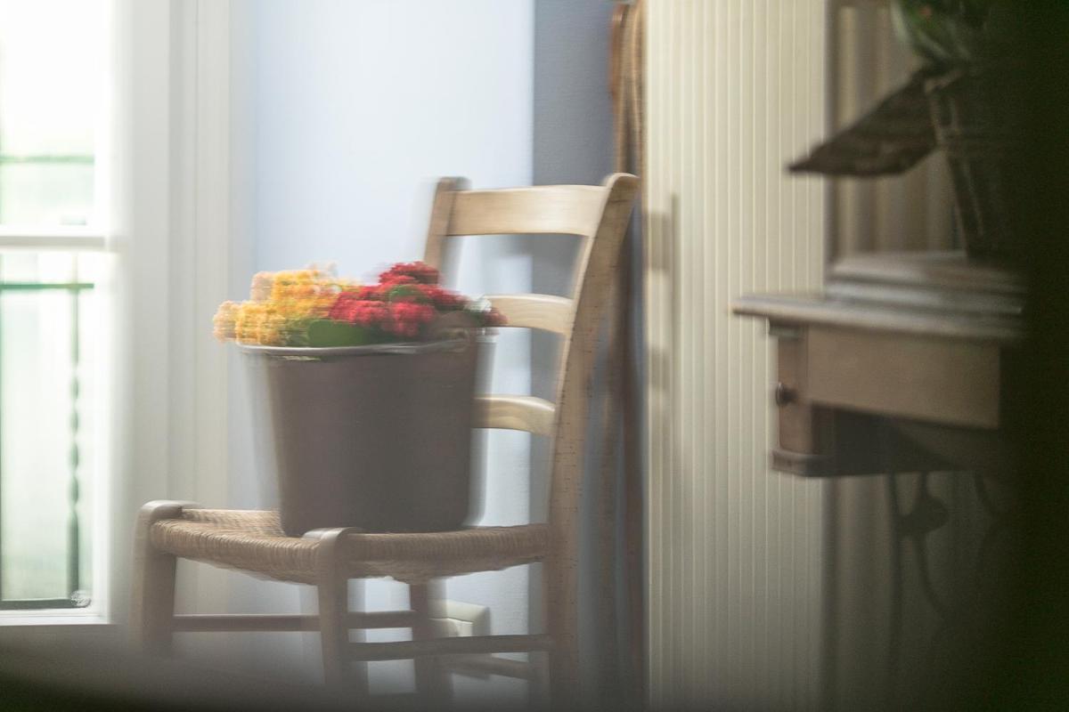 Albergo Diffuso Ca' Spiga