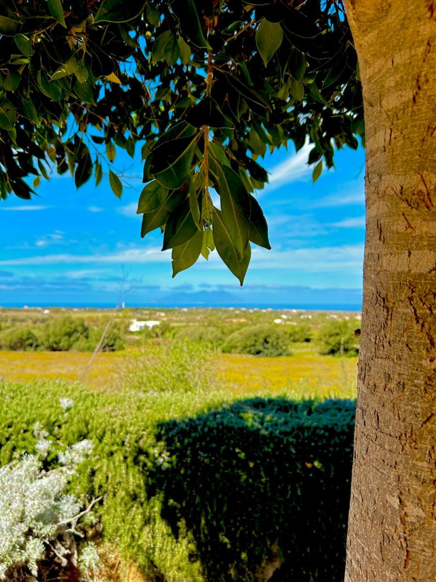 Alencio Panorama Residence