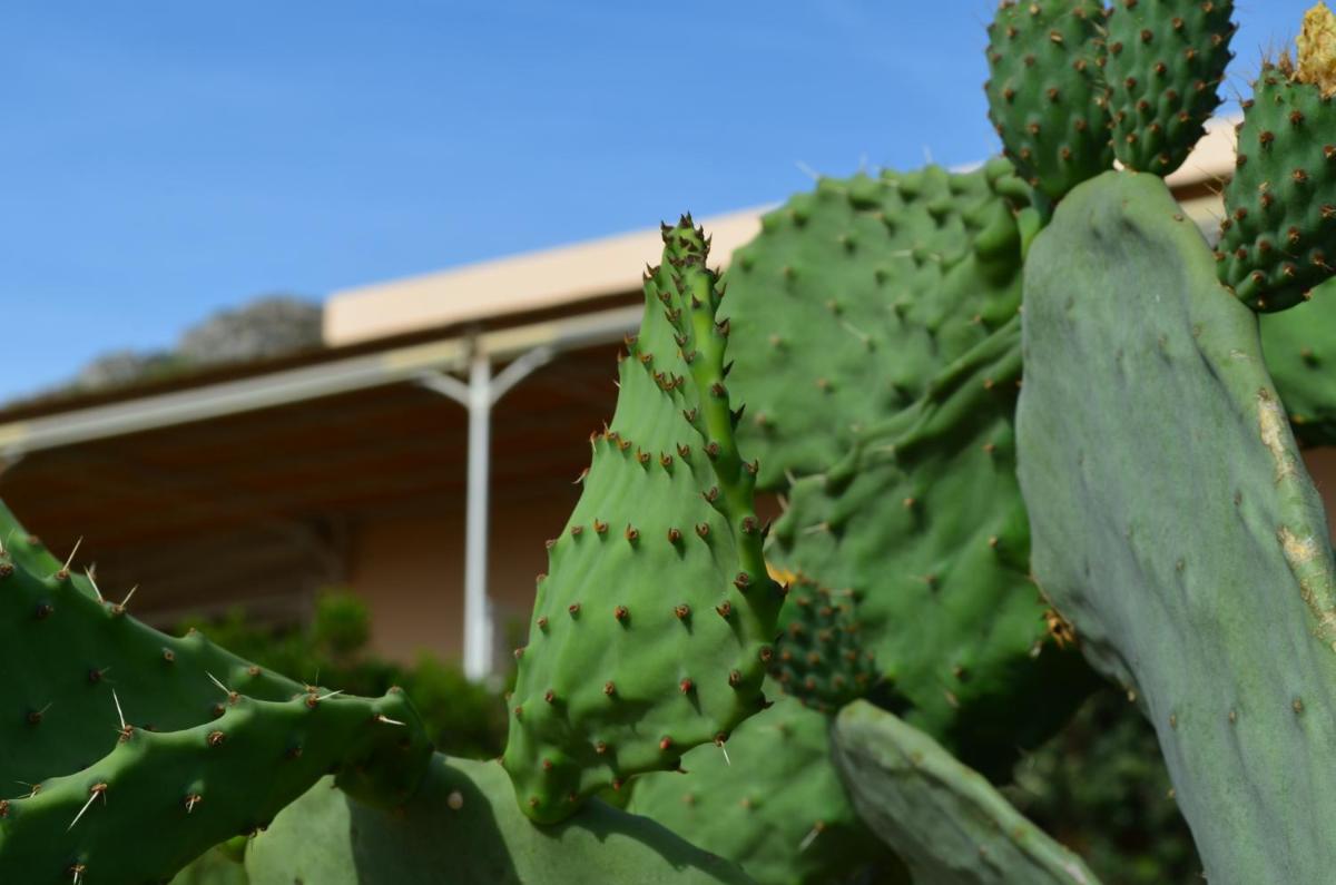Alencio Panorama Residence