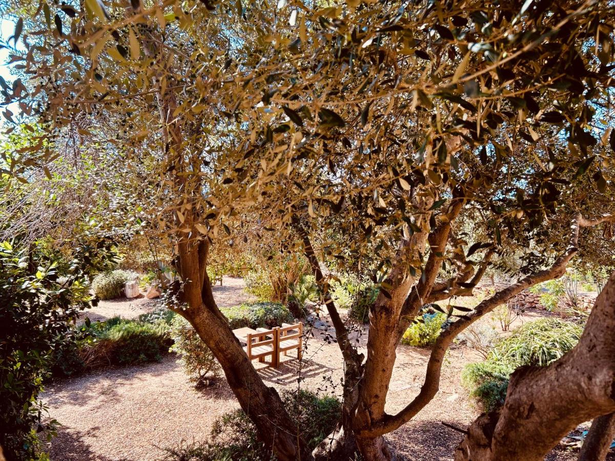 Alencio Panorama Residence