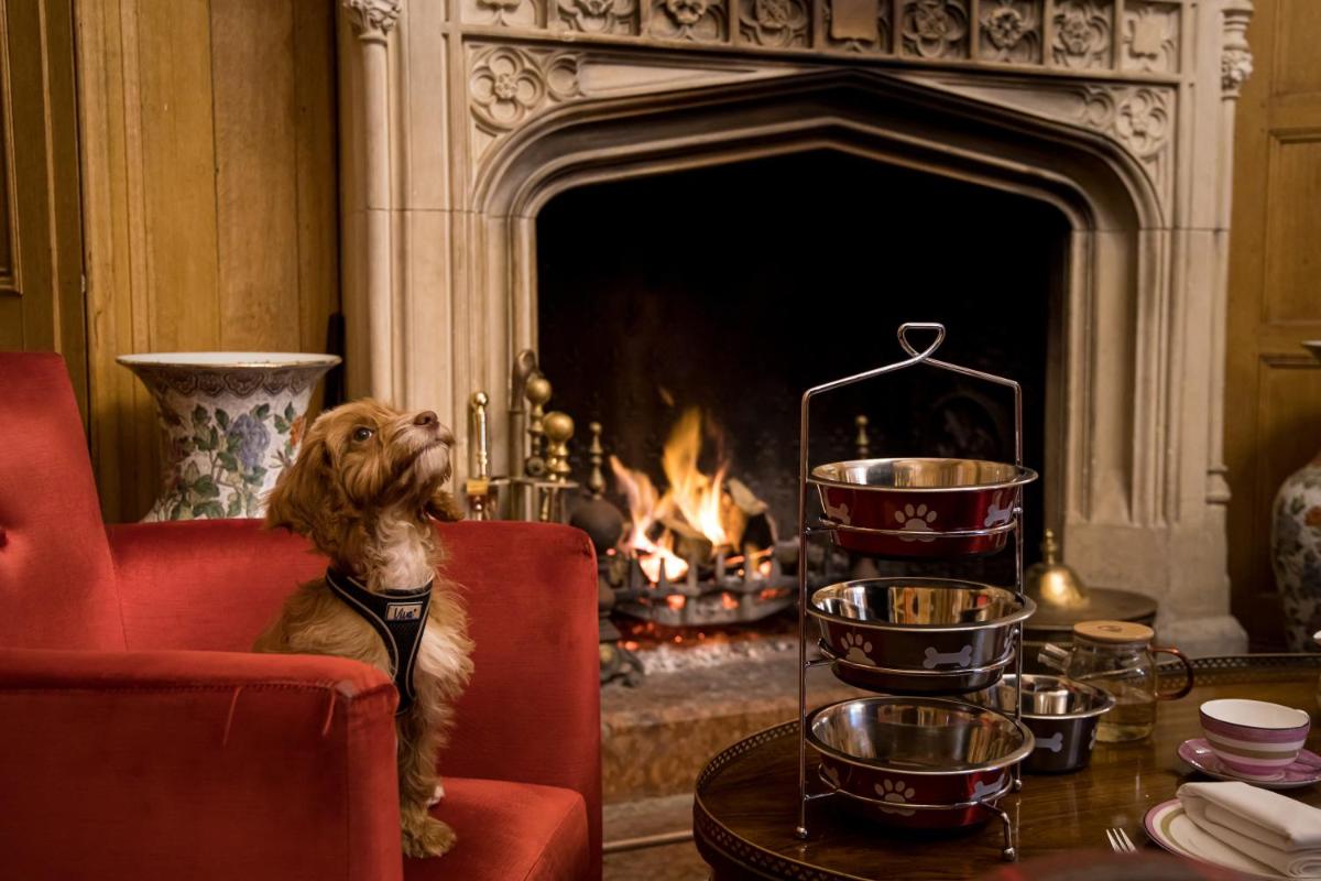 Alexander House Hotel & Utopia Spa
