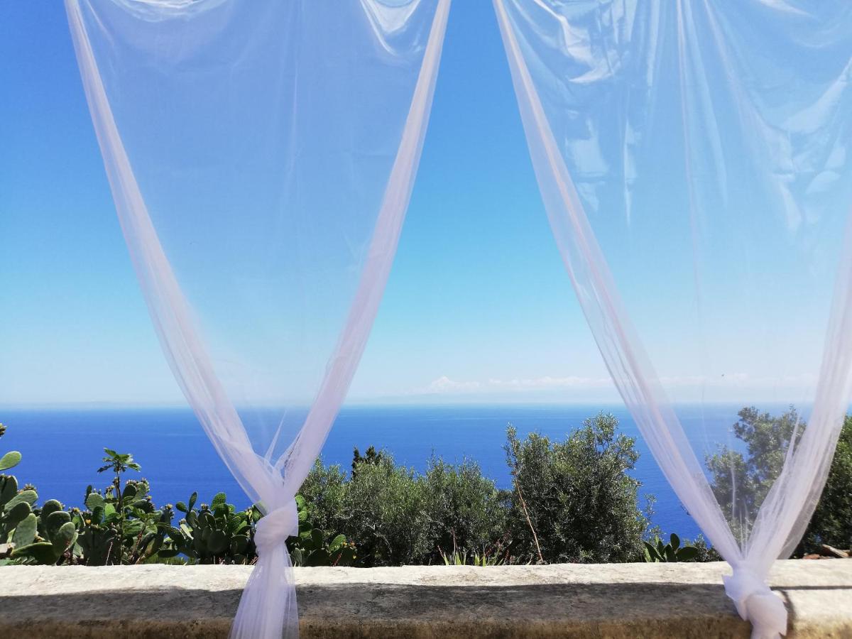 Alicudi Giardino dei Carrubi- al gradino 365