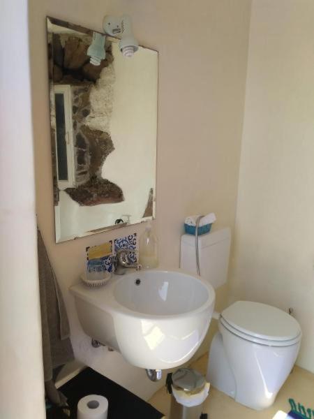 Alicudi Giardino dei Carrubi- al gradino 365