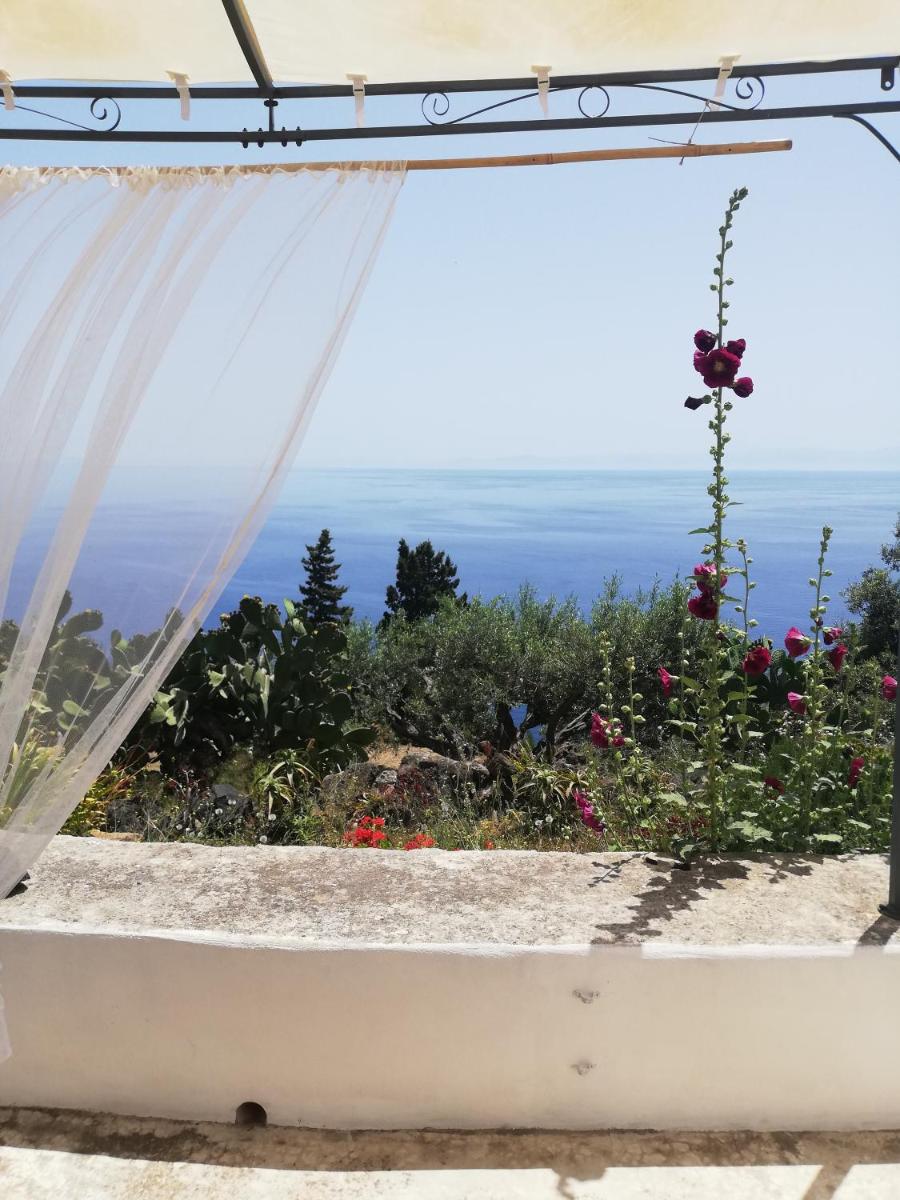 Alicudi Giardino dei Carrubi- al gradino 365