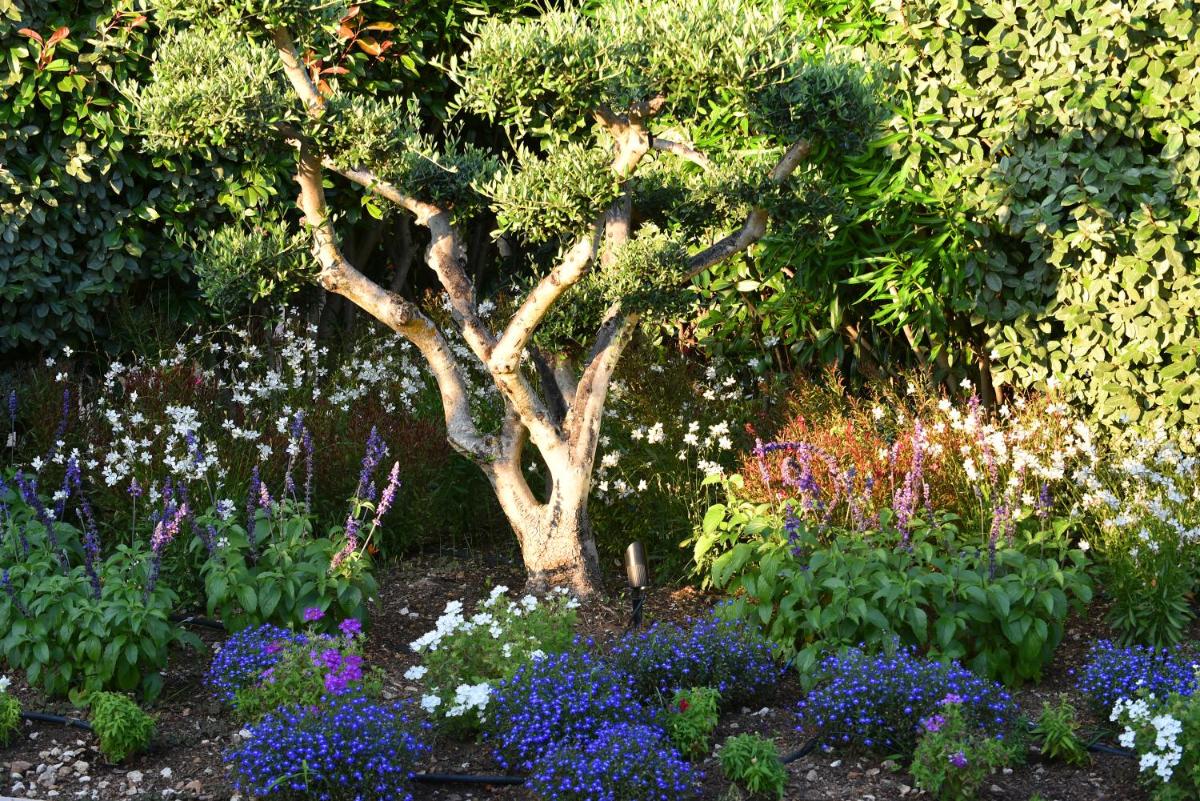 Hôtel Alivi Di Santa Giulia