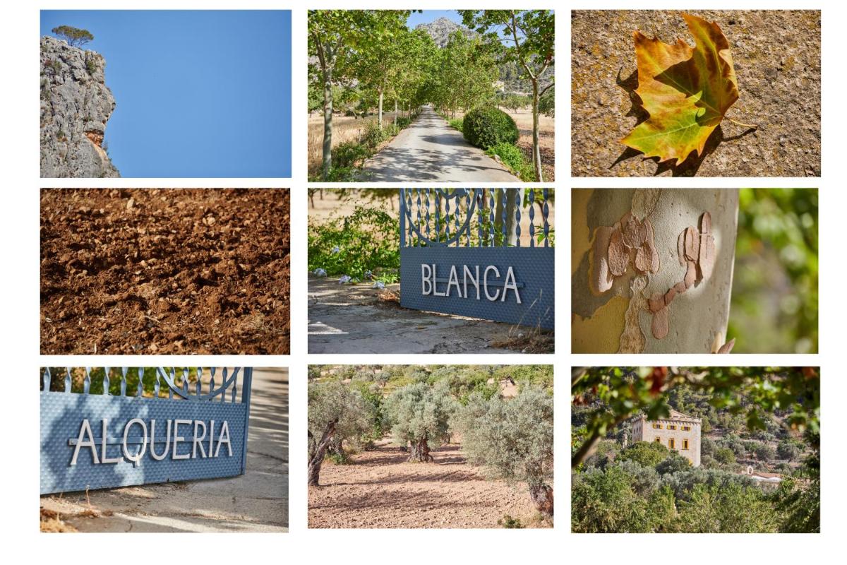 Agroturismo Alquería Blanca