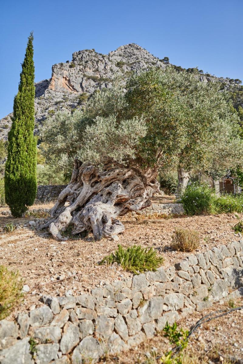 Agroturismo Alquería Blanca